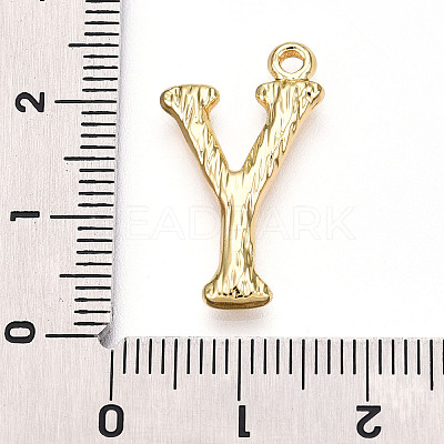 304 Stainless Steel Pendants STAS-N117-01G-Y-1