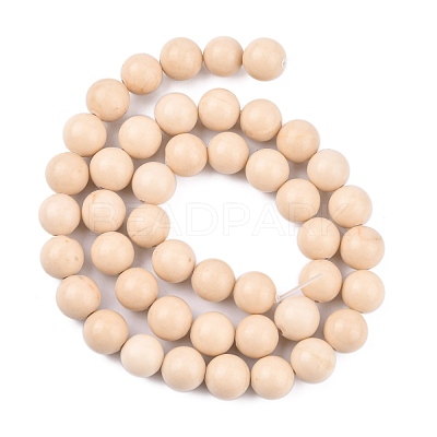Natural Fossil Beads Strands X-G-E110-8mm-2-1