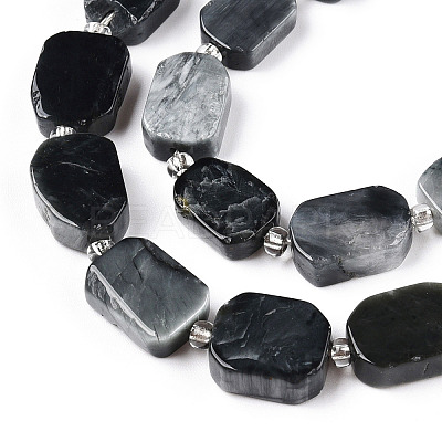 Natural Eagle Eye Stone Beads Strands G-T138-05-1