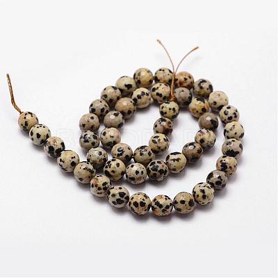 Natural Dalmatian Jasper Beads Strands G-D840-49-8mm-1