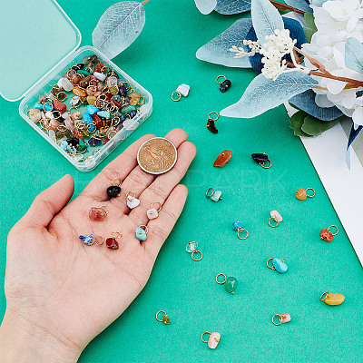 120Pcs 30 Styles Natural & Synthetic Gemstone Chip Charms PALLOY-HY00079-1