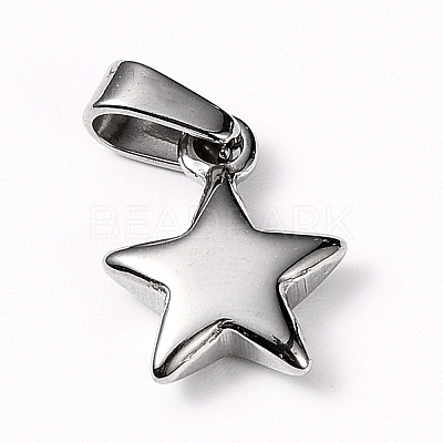 Non-Tarnish 304 Stainless Steel Charms X-STAS-I127-067P-1
