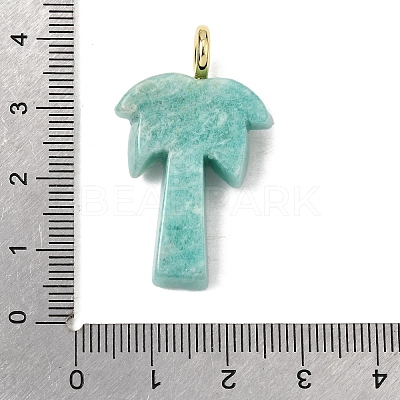 Natural Amazonite Carved Pendants X-G-C282-04D-1