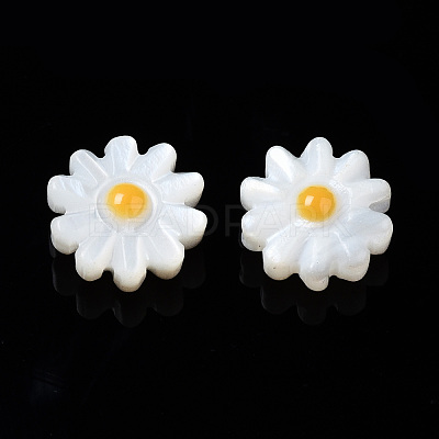 Natural Freshwater Shell Beads SHEL-N003-20B-01-1