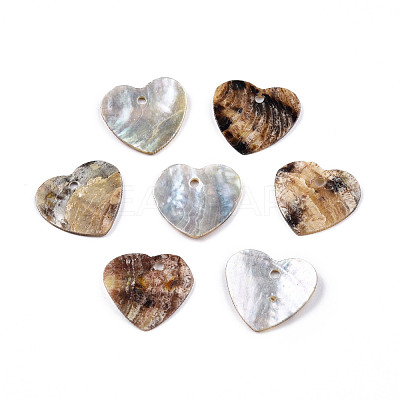 Natural Akoya Shell Pendants SHEL-N026-200-1