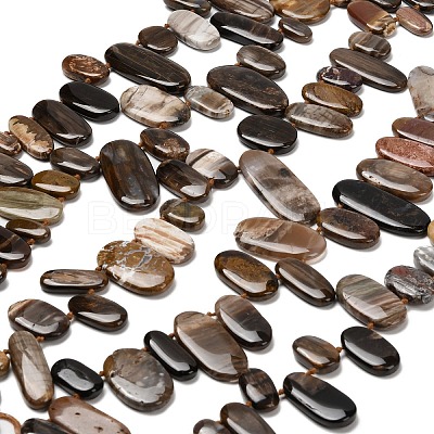 Natural Petrified Wood Beads Strands G-C253-07-1