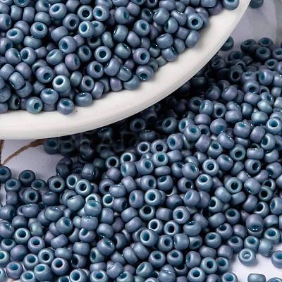 MIYUKI Round Rocailles Beads X-SEED-G008-RR2030-1