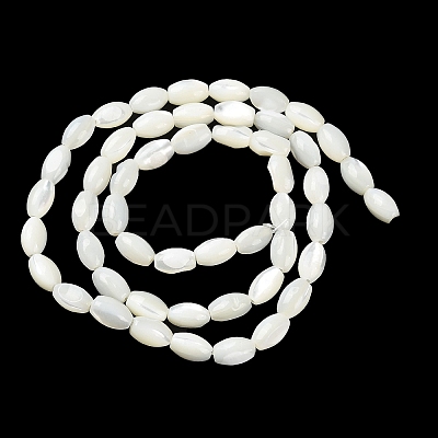 Natural Trochus Shell Beads Strands BSHE-E030-02A-1