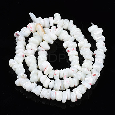 Natural Freshwater Shell Beads Strands SHEL-N003-23-A01-1