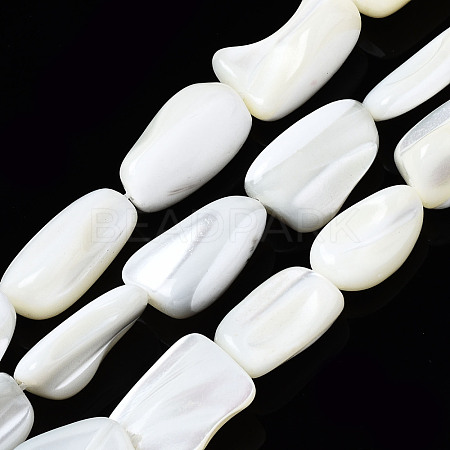 Natural Trochid Shell/Trochus Shell Beads Strands SSHEL-S266-014A-1