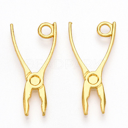 Alloy Pendants PALLOY-N176-119G-1