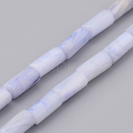 Natural Shell Bead Strands BSHE-P016-04-1