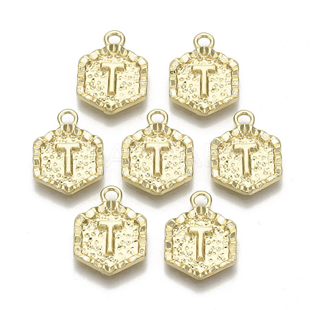 Alloy Pendants PALLOY-N157-003T-NR-1