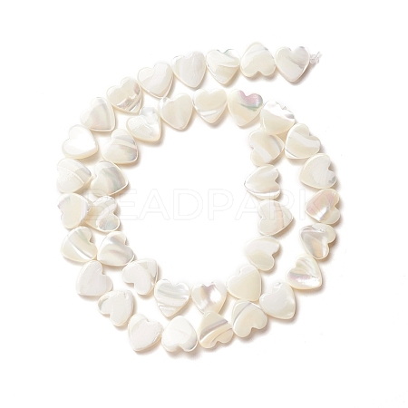 Natural Trochid Shell/Trochus Shell Beads SSHEL-O001-27B-1