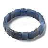 Natural Kyanite Stretch Bracelets BJEW-F406-B25-2