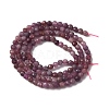 Natural Ruby Beads Strands G-F509-16-3mm-01-5