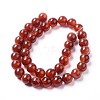 Natural Agate Beads Strands G-I261-B01-10mm-2