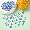 Preciosa® MAXIMA Crystal No Hotfix Flatback Stones Y-PRC-NSS6-30020-2