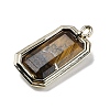 Natural Tiger EyePendants G-U019-04G-06-2
