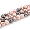 Electroplated Shell Pearl Beads Strands SHEL-F008-03A-12-1