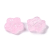 Baking Paint Glass Beads GLAA-S202-06C-2