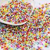 Baking Paint Glass Seed Beads X-SEED-S042-05B-50-1