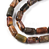Natural Picasso Jasper/Polychrome Jasper Beads Strands G-N346-01A-05-4