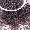 MIYUKI Round Rocailles Beads X-SEED-G008-RR0302-1
