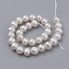 Natural Cultured Freshwater Pearl Beads Strands PEAR-N013-06E-2
