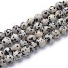 Natural Dalmatian Jasper Bead Strands G-R345-10mm-51-1