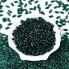 Transparent Colours Glass Seed Beads SEED-T007-16R-1