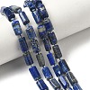 Natural Lapis Lazuli Beads Strands G-C270-K10-1