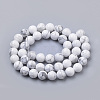 Natural Howlite Beads Strands X-G-S259-47-10mm-2