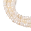 Natural Freshwater Shell Beads Strands SHEL-P017-01B-02-3