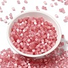 Glass Seed Beads X1-SEED-H002-D-A810-2