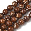 Natural Trochus Shell Beads Strands SH-CBAFEDD-02C-1