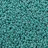 MIYUKI Round Rocailles Beads SEED-X0056-RR0435-2