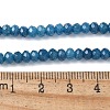 Dyed Natural Malaysia Jade Rondelle Beads Strands G-E316-2x4mm-54-2