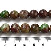 Natural Green Opal Beads Strands G-H045-A03-10MM-5