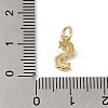 Rack Plating Brass with ABS Plastic Imitation Pearl Charms KK-B092-30S-G-3