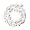 Natural Trochid Shell/Trochus Shell Beads SSHEL-O001-23B-1