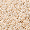 Baking Paint Glass Seed Beads X-SEED-S042-15A-02-3
