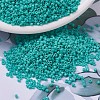 MIYUKI Delica Beads SEED-J020-DB0729-1