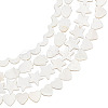 4 Strands 4 Styles Natural Freshwater Shell Beads Strands SHEL-BC0001-032-1