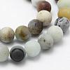 Natural Flower Amazonite Beads Strands G-F518-24-10mm-3