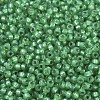 MIYUKI Round Rocailles Beads SEED-X0054-RR0646-3