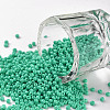11/0 FGB Grade A Baking Paint Glass Seed Beads X-SEED-N001-A-1030-1