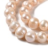 Natural Cultured Freshwater Pearl Beads Strands PEAR-E018-23-3