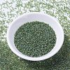 MIYUKI Delica Beads LS-X-SEED-J020-DB1247-2