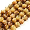 Natural Tiger Eye Beads Strands G-G099-10mm-9-1